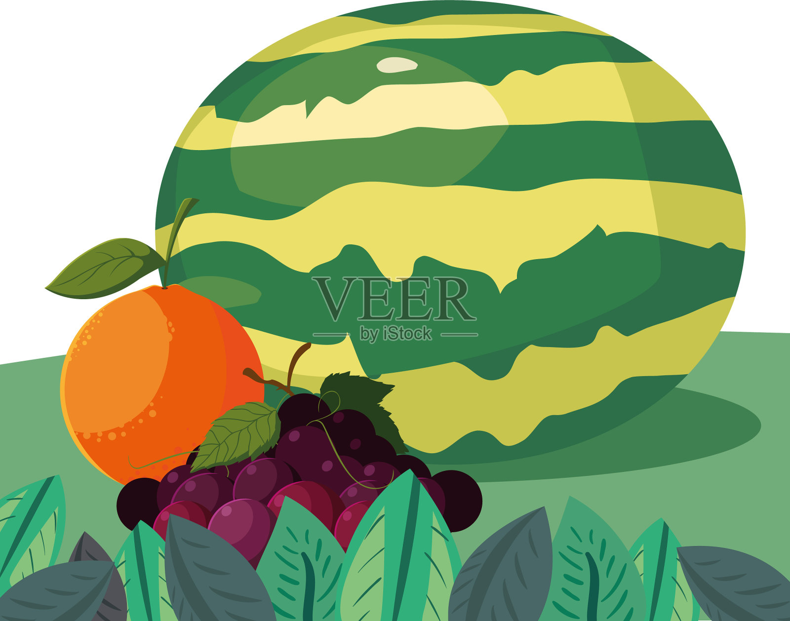 橙子、葡萄、西瓜等新鲜水果在田间插画图片素材