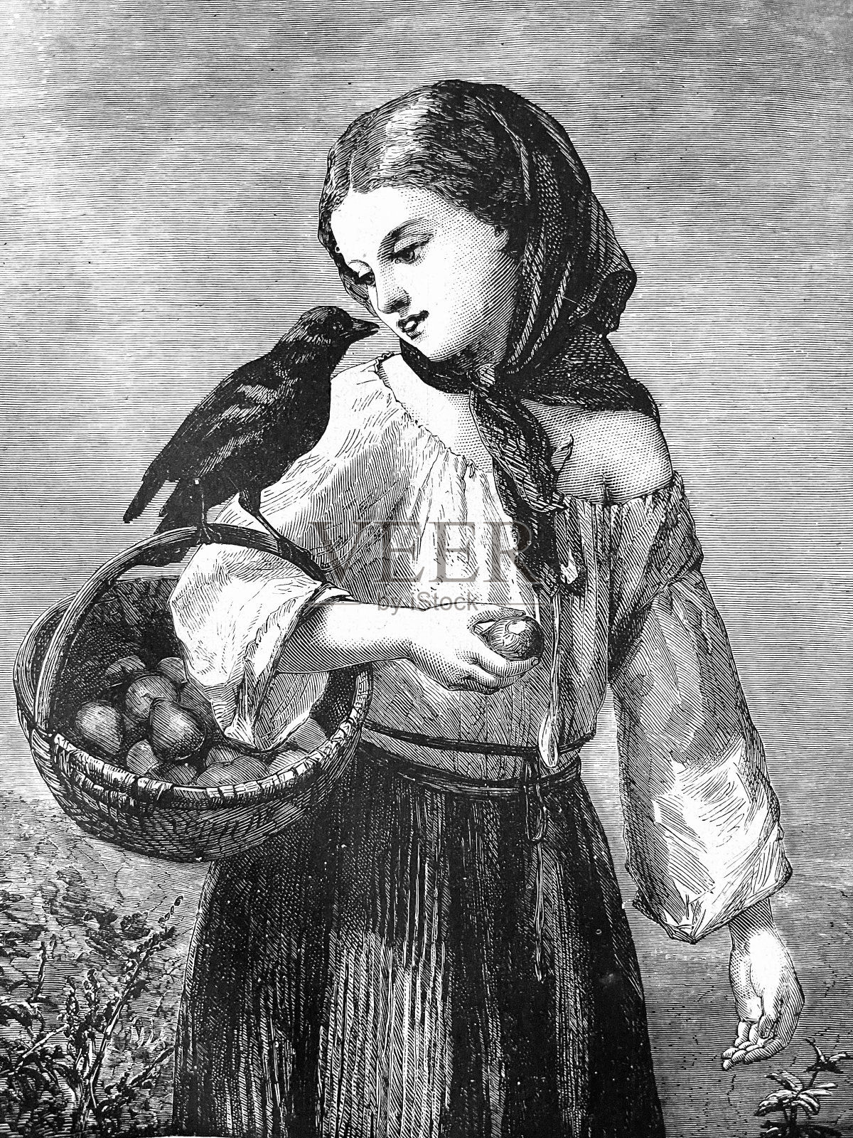 拿着篮子的女孩手臂上的乌鸦插画图片素材