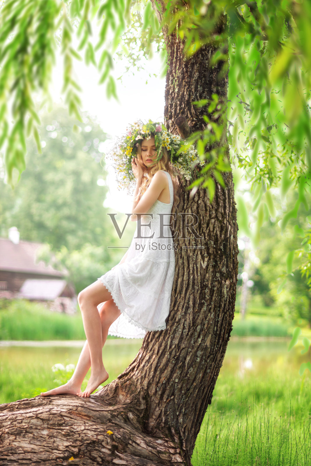 一个女孩身穿白色连衣裙，头戴野花花环，站在一棵树旁。Kupala。照片摄影图片
