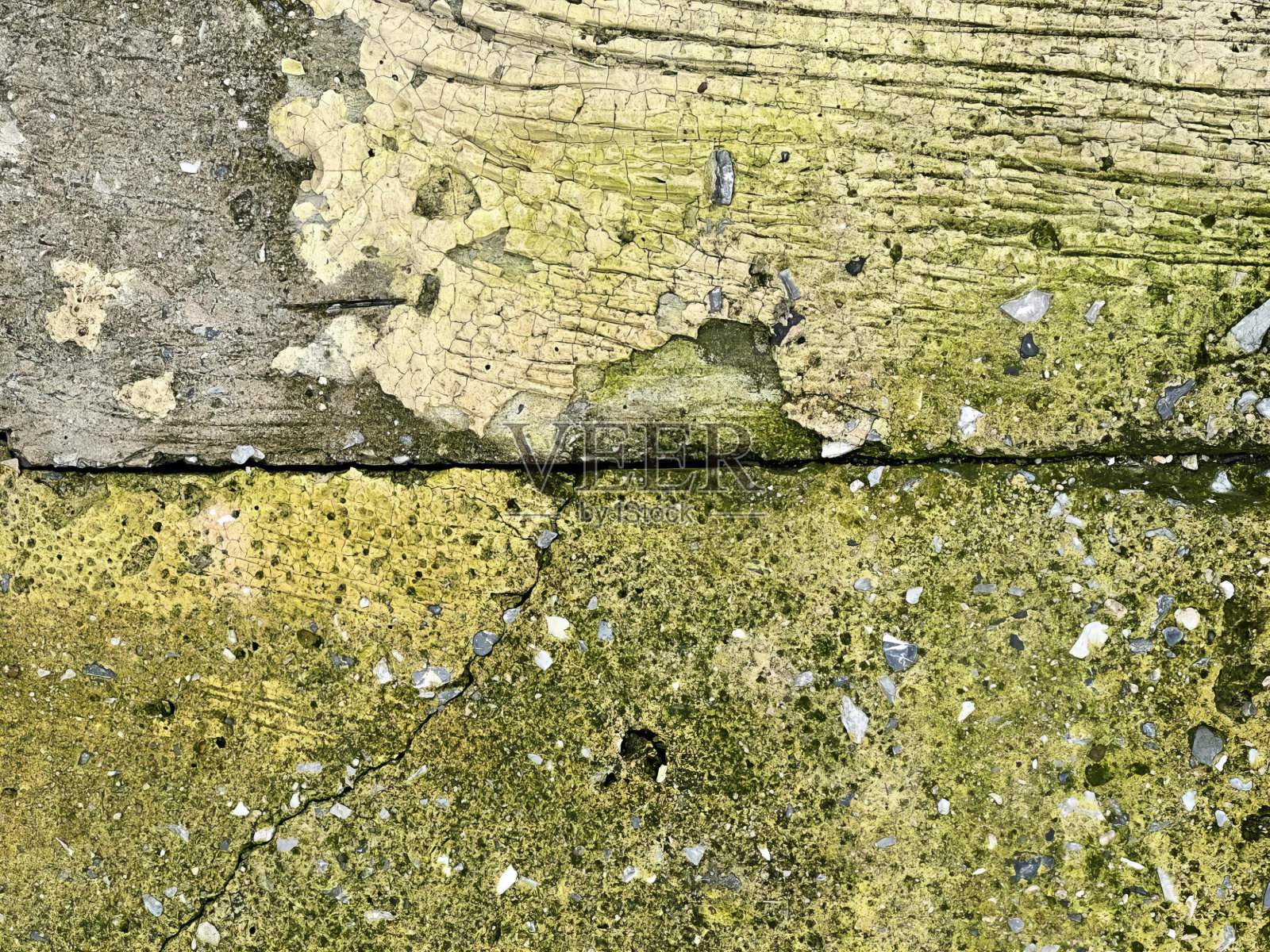 有苔藓的木质表面的特写照片，有苔藓和地衣的木质表面的特写照片。照片摄影图片