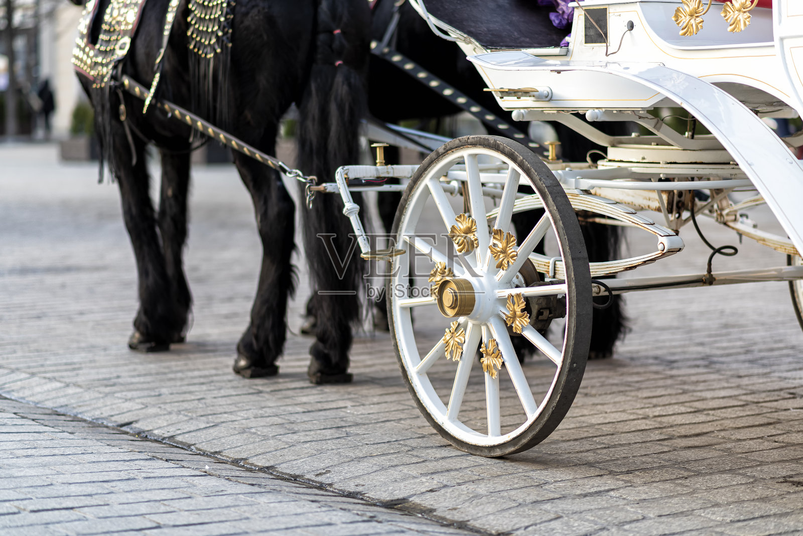 克拉科夫广场上的马车照片摄影图片