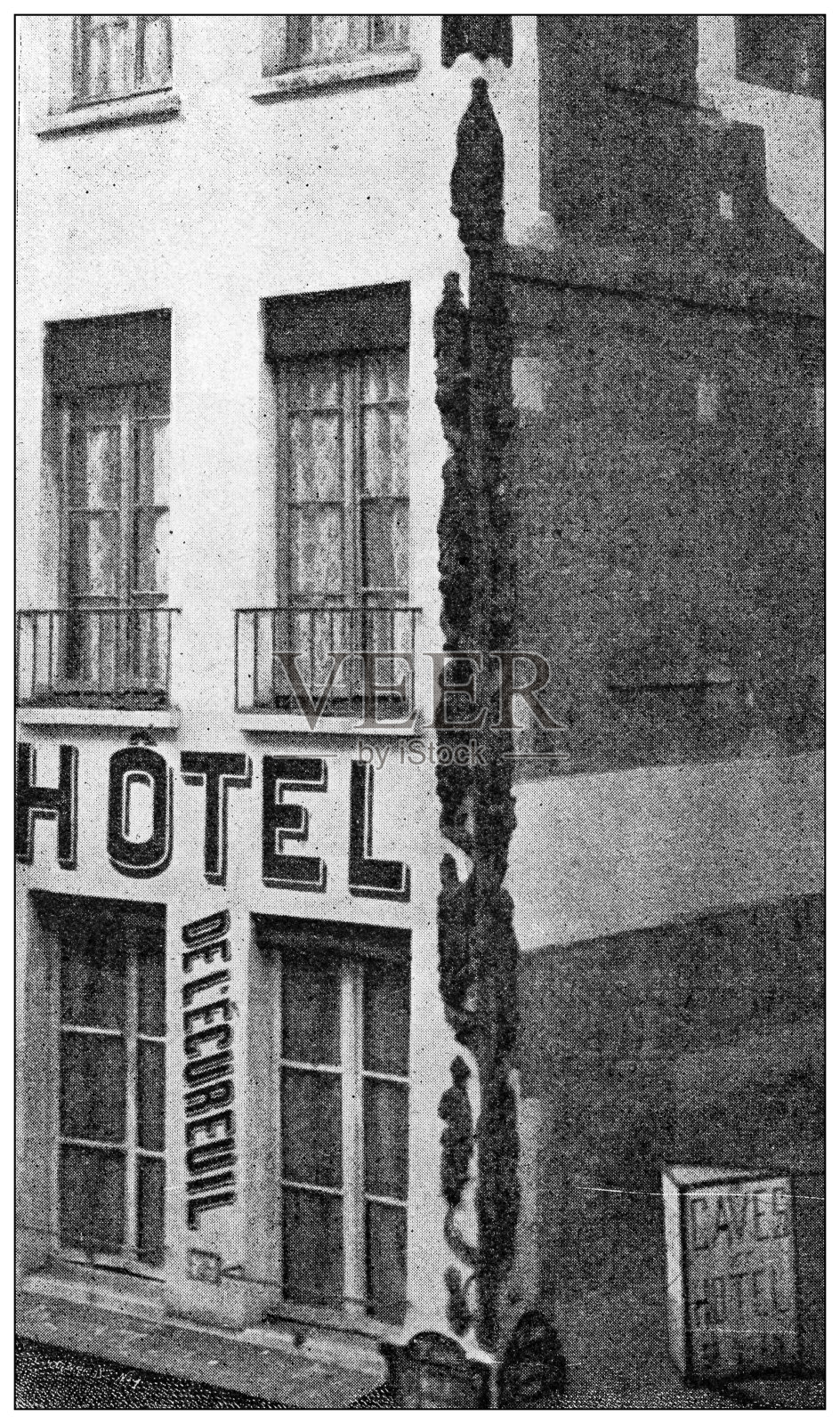 古董照片:酒店，杰西的树插画图片素材