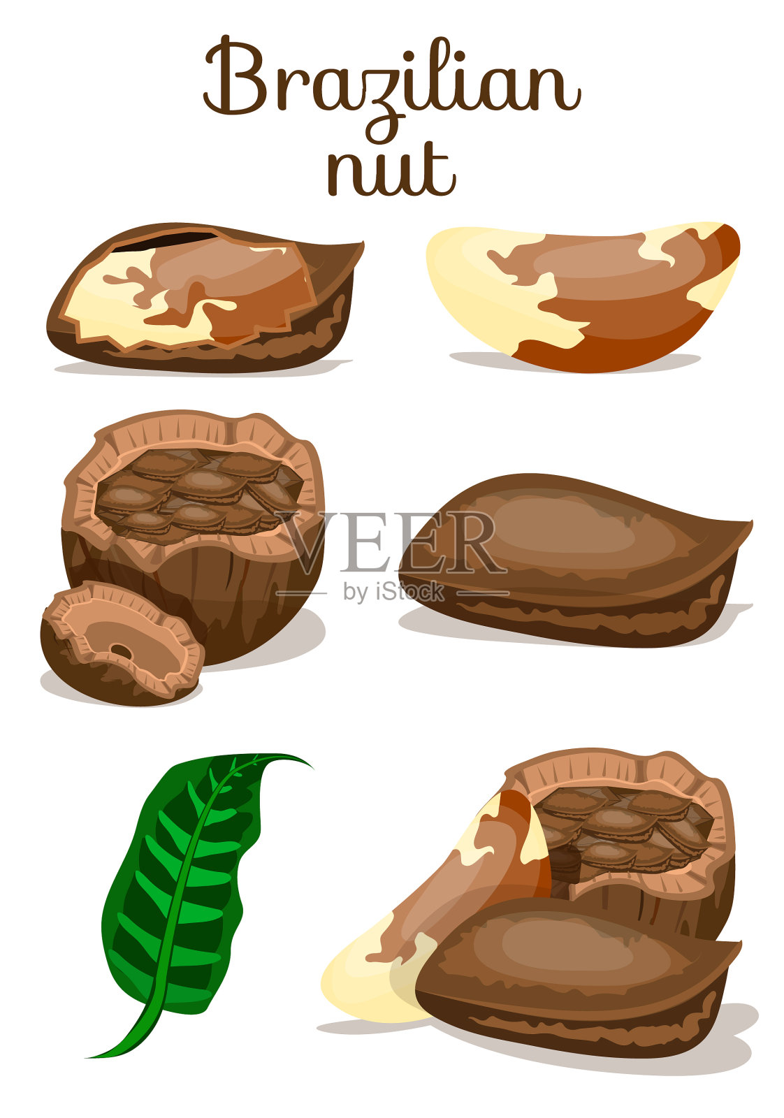 设置坚果插画图片素材