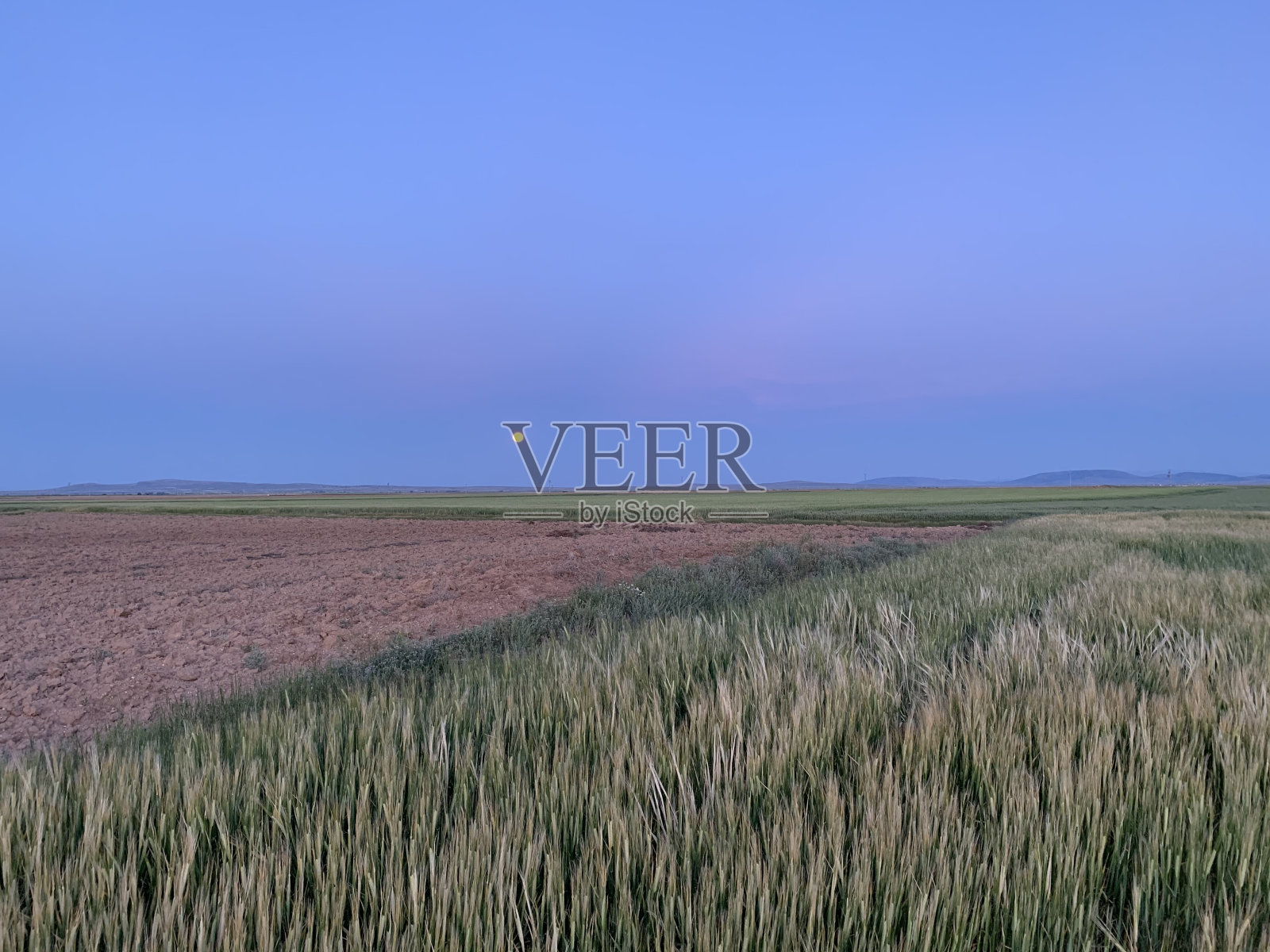 做ğ阿丹(karel照片摄影图片