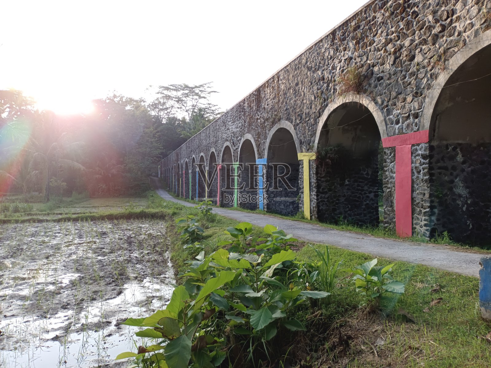 农场周围的水桥照片摄影图片