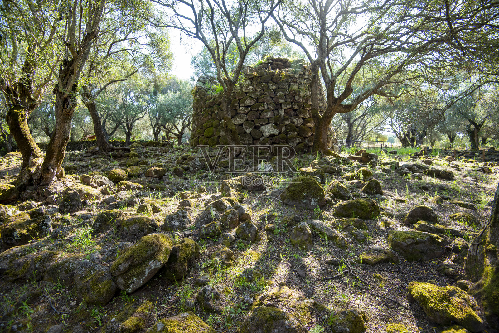 圣诞老人克里斯蒂娜照片摄影图片
