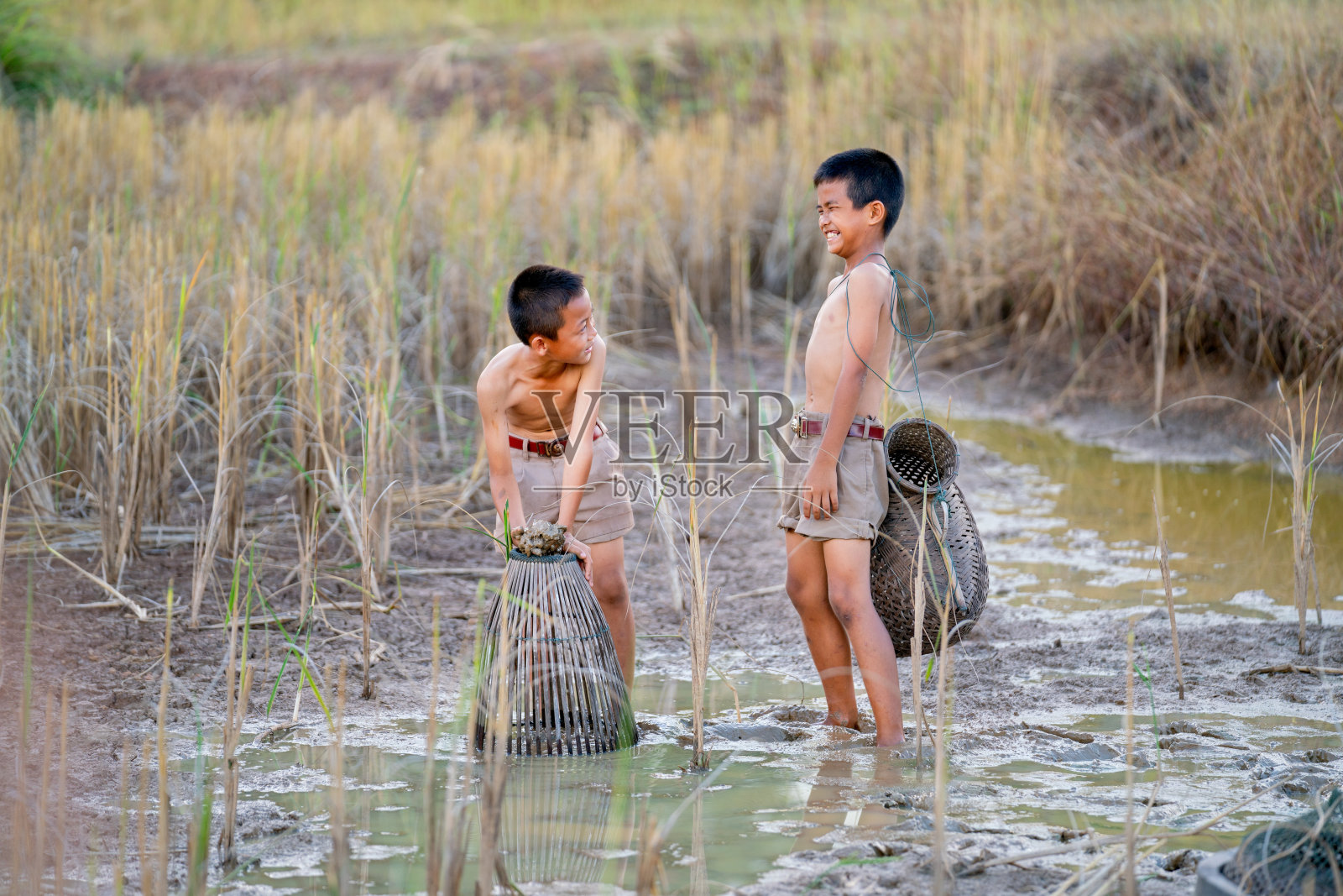 两个亚洲小男孩看起来很开心，他们在稻田里用泥巴和粘土抓不到鱼，他们看起来很开心，很享受。照片摄影图片