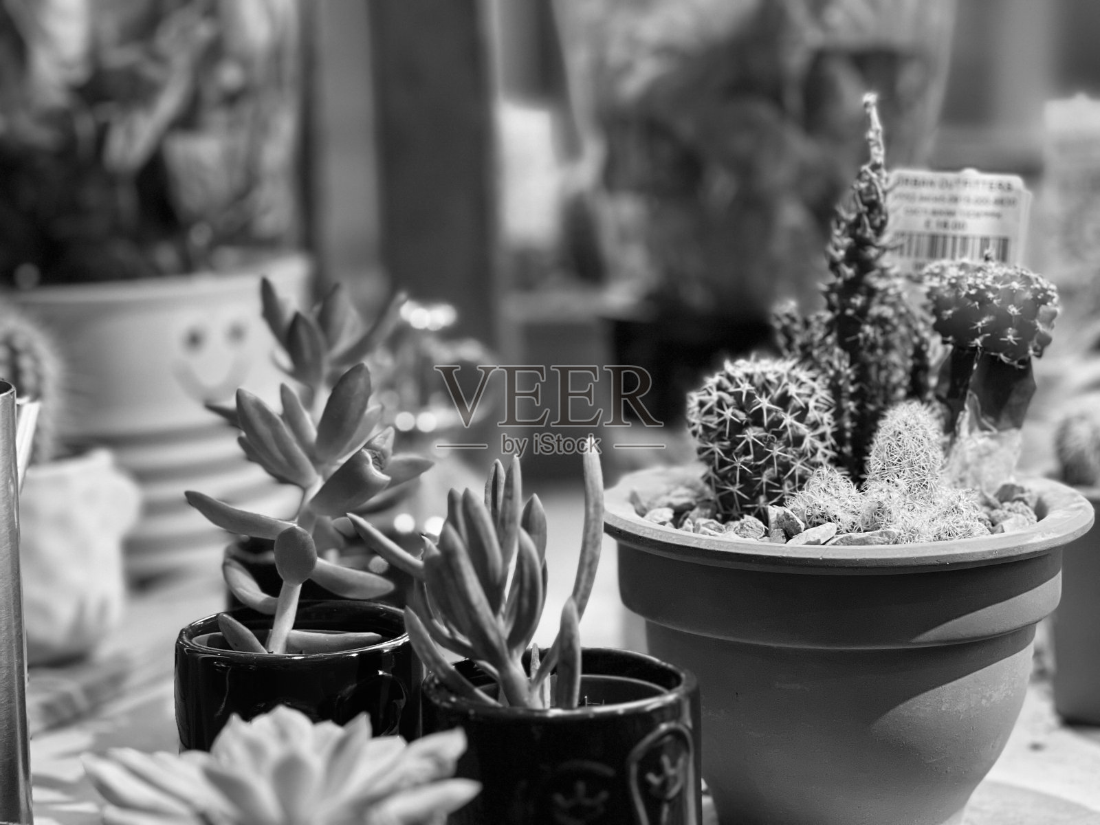 室内装饰布置照片摄影图片