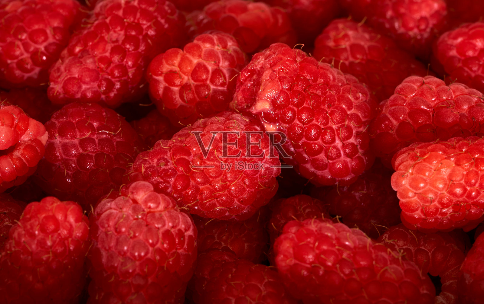 树莓作为艺术家的背景照片摄影图片