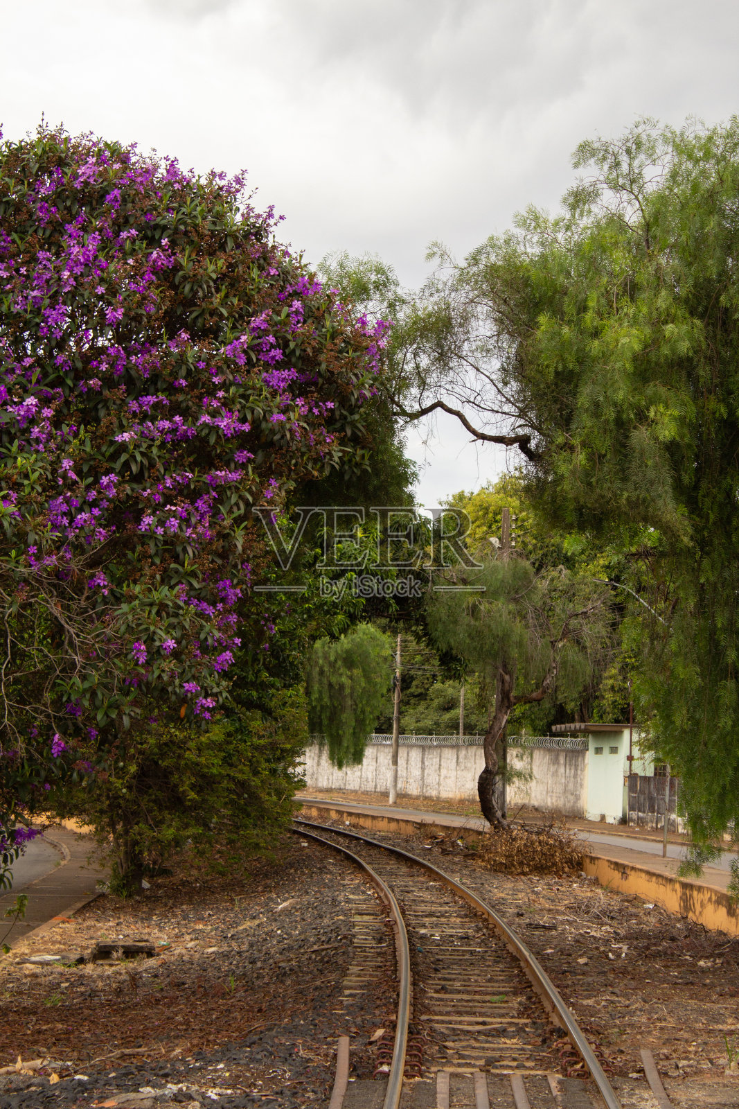locomotiva照片摄影图片