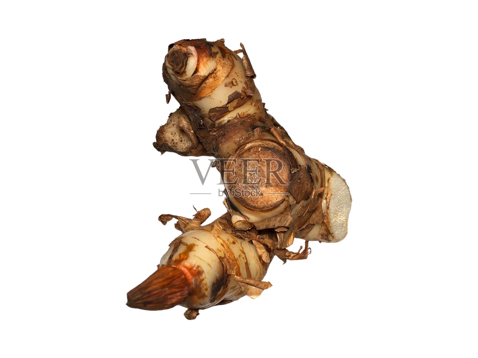 新鲜的高良姜或冷块根状茎照片摄影图片