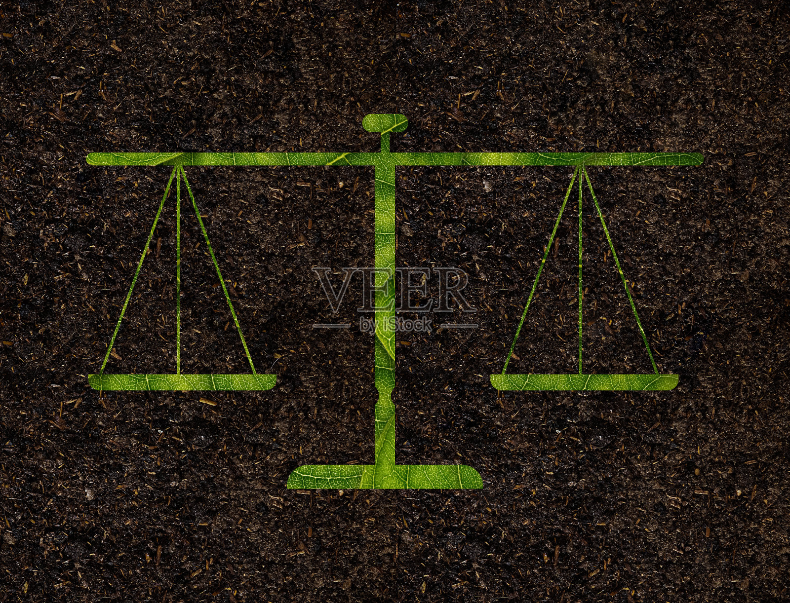 绿叶尺度形状对土壤背景生态学概念的影响照片摄影图片