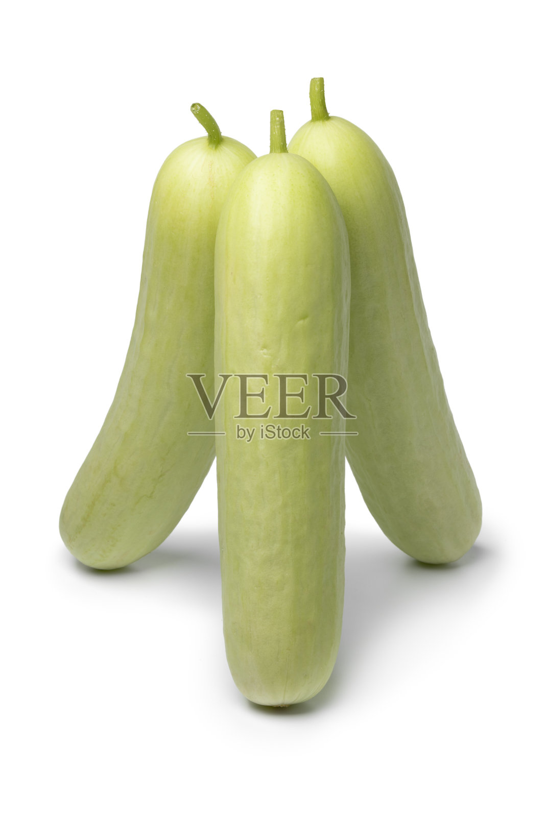 白色背景上的新鲜白黄瓜照片摄影图片