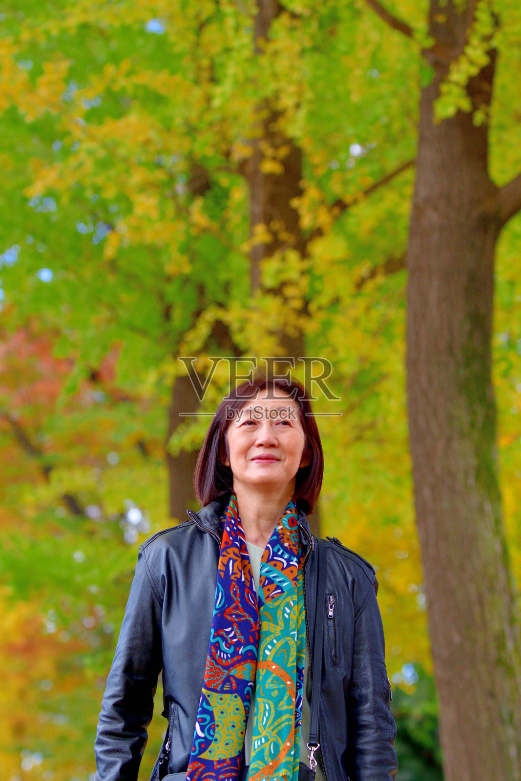 日本女子在东京公园欣赏银杏树的秋叶颜色照片摄影图片