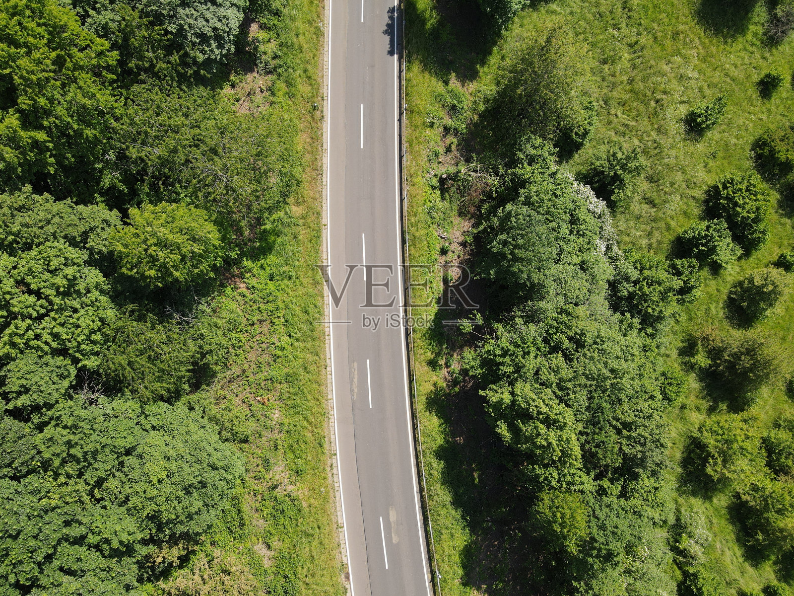 乡村道路上有白色条纹的树木和草地之间的景观照片摄影图片
