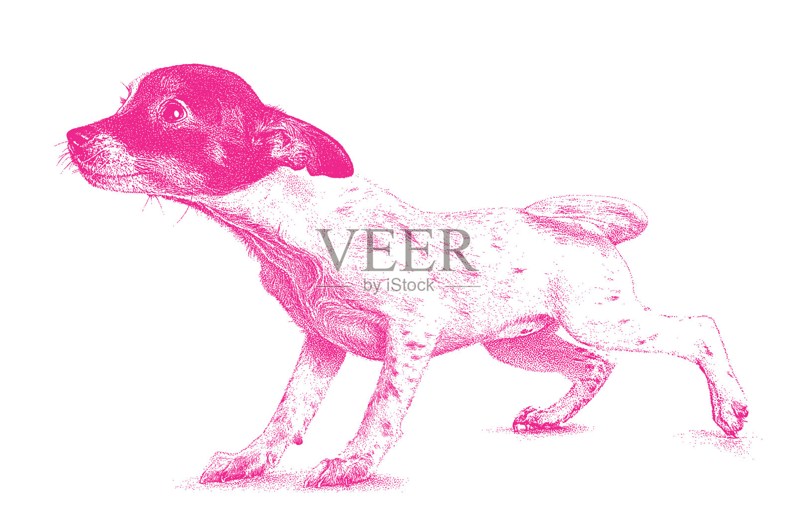 可爱的鼠梗狗插画图片素材