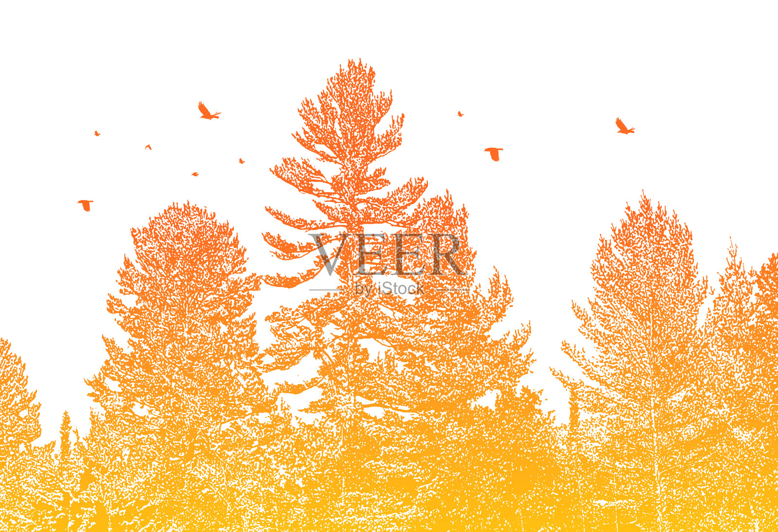 松林与鸟群插画图片素材