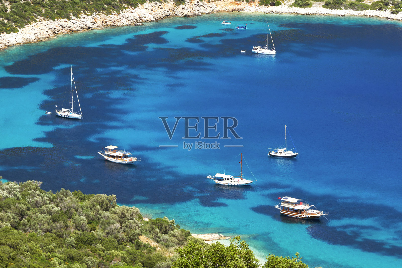 夏天的背景照片摄影图片