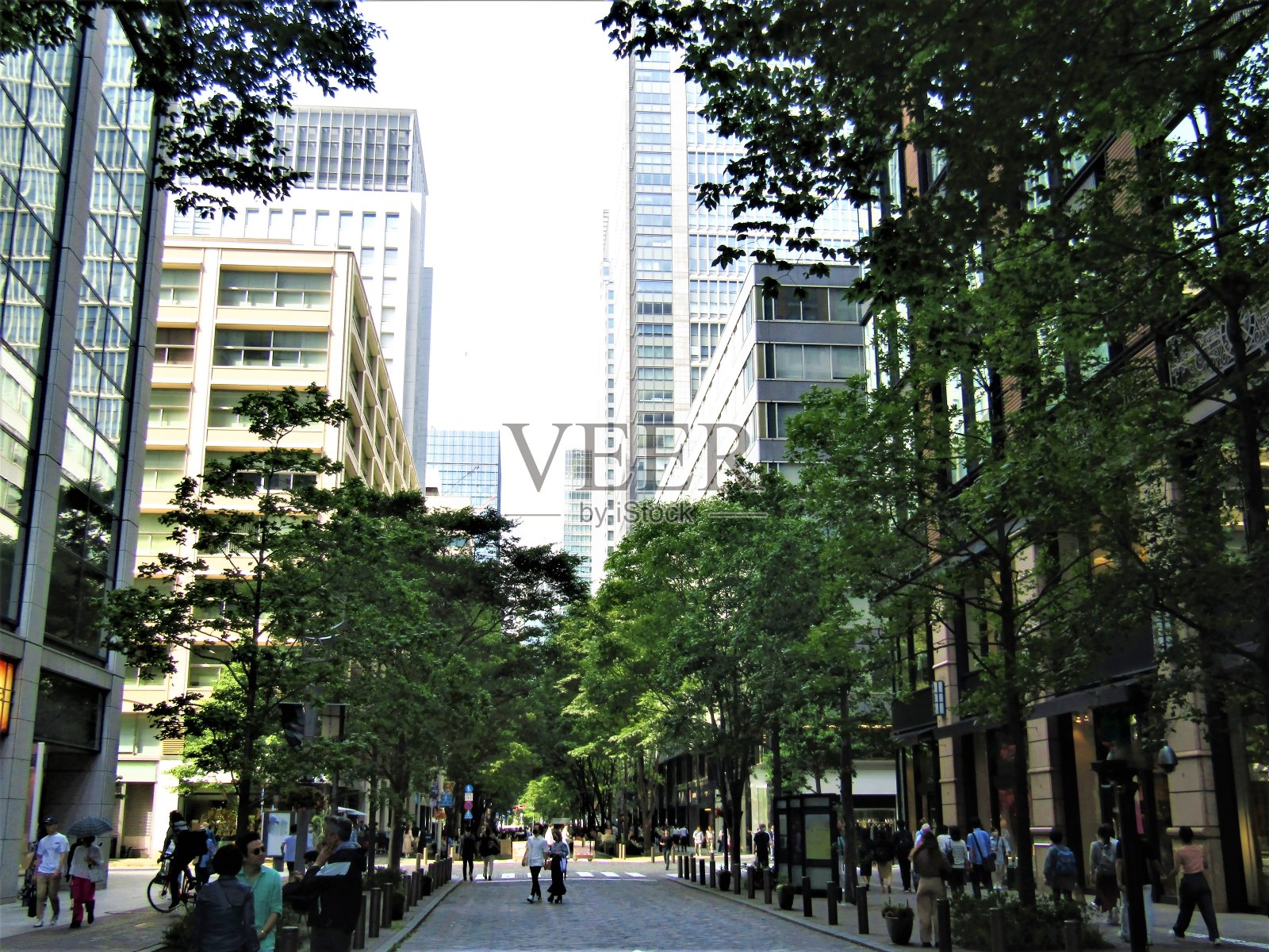 日本。东京的广场和街道。的印象。照片摄影图片