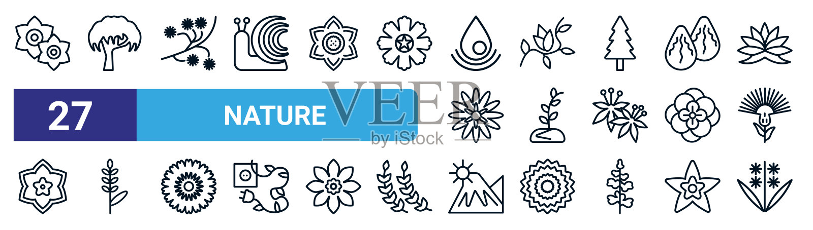 一组27细线自然图标，如水仙，柳树，含羞草，小苍兰，种植植物，薰衣草，山丘，风信子矢量图标移动应用程序，网页设计。图标素材