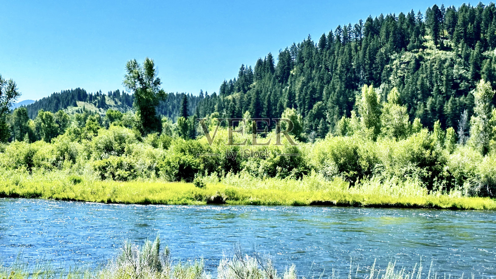 •天鹅谷高速公路，Caribou-Targhee国家森林，Irwin, ID，美国照片摄影图片