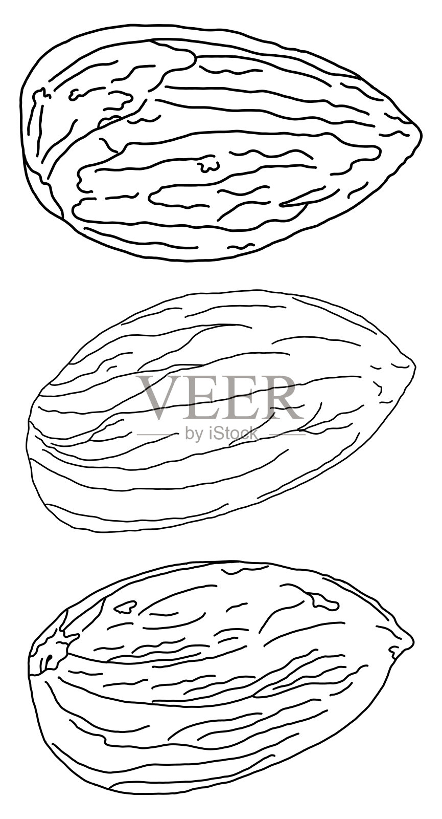 杏仁素描一组三插画图片素材