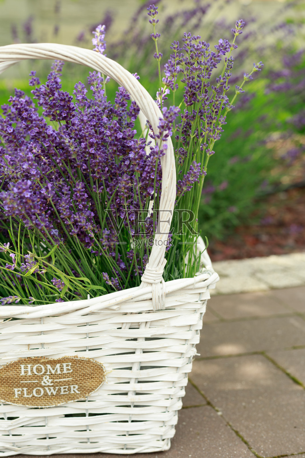 薰衣草花篮照片摄影图片