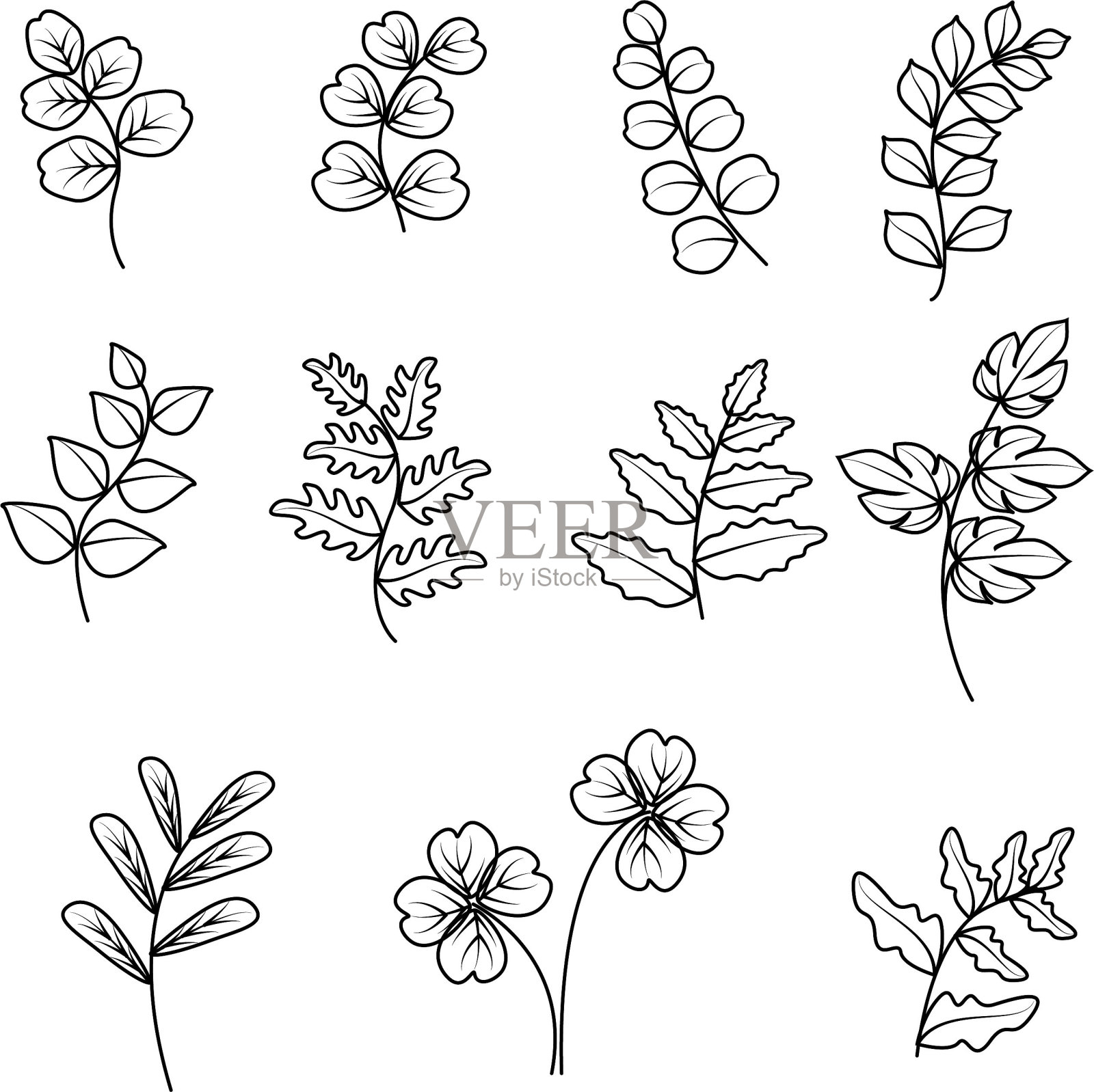 叶线艺术插画图片素材