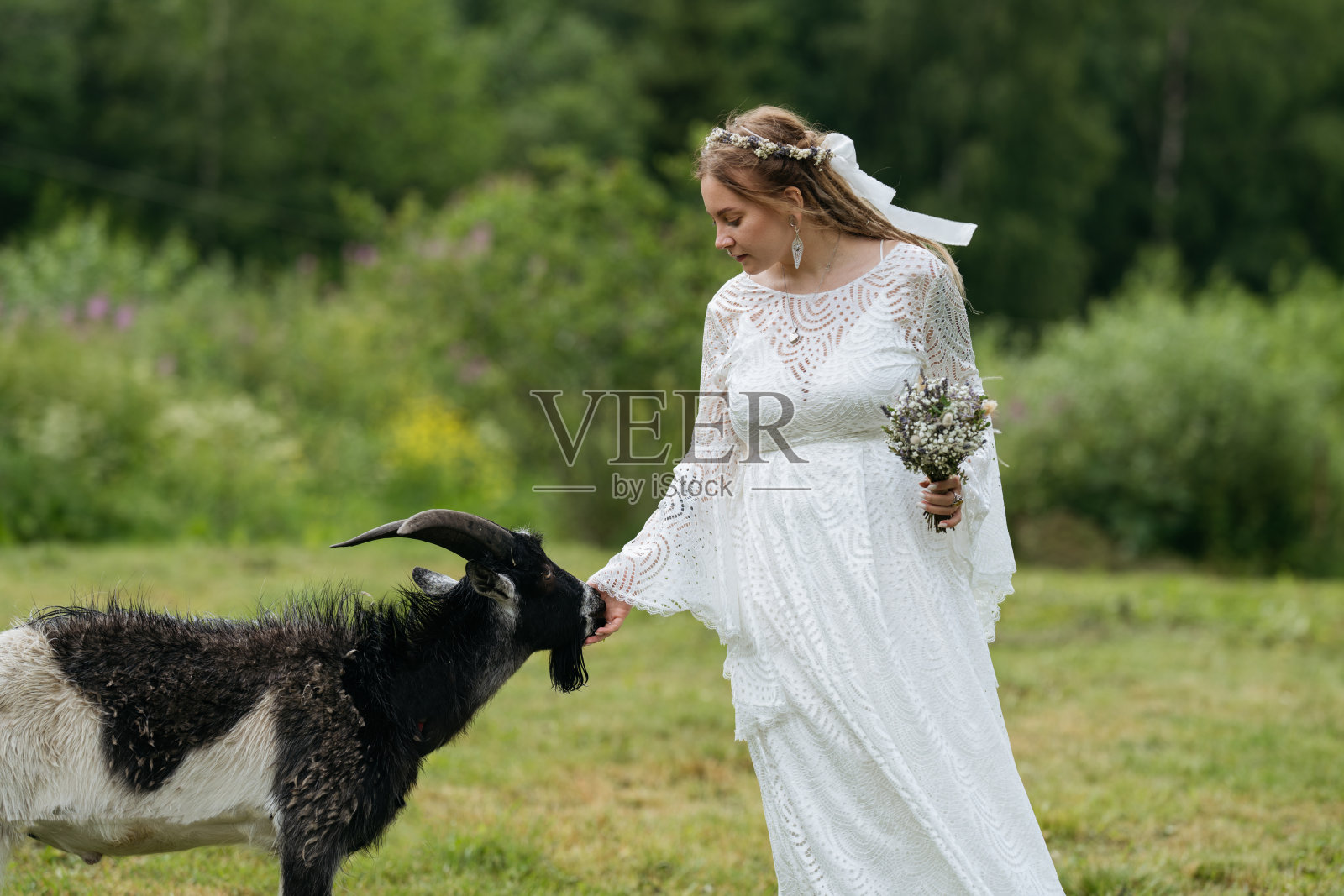 留着脏辫的年轻白人新娘在乡下抚摸着黑山羊。照片摄影图片