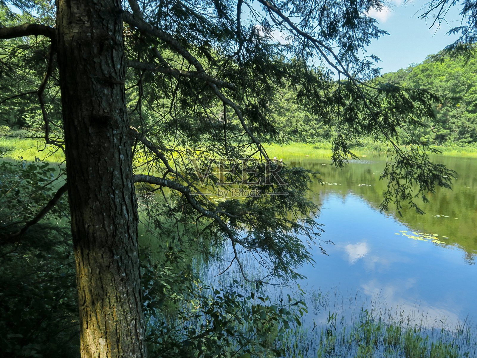 宁静的湖照片摄影图片