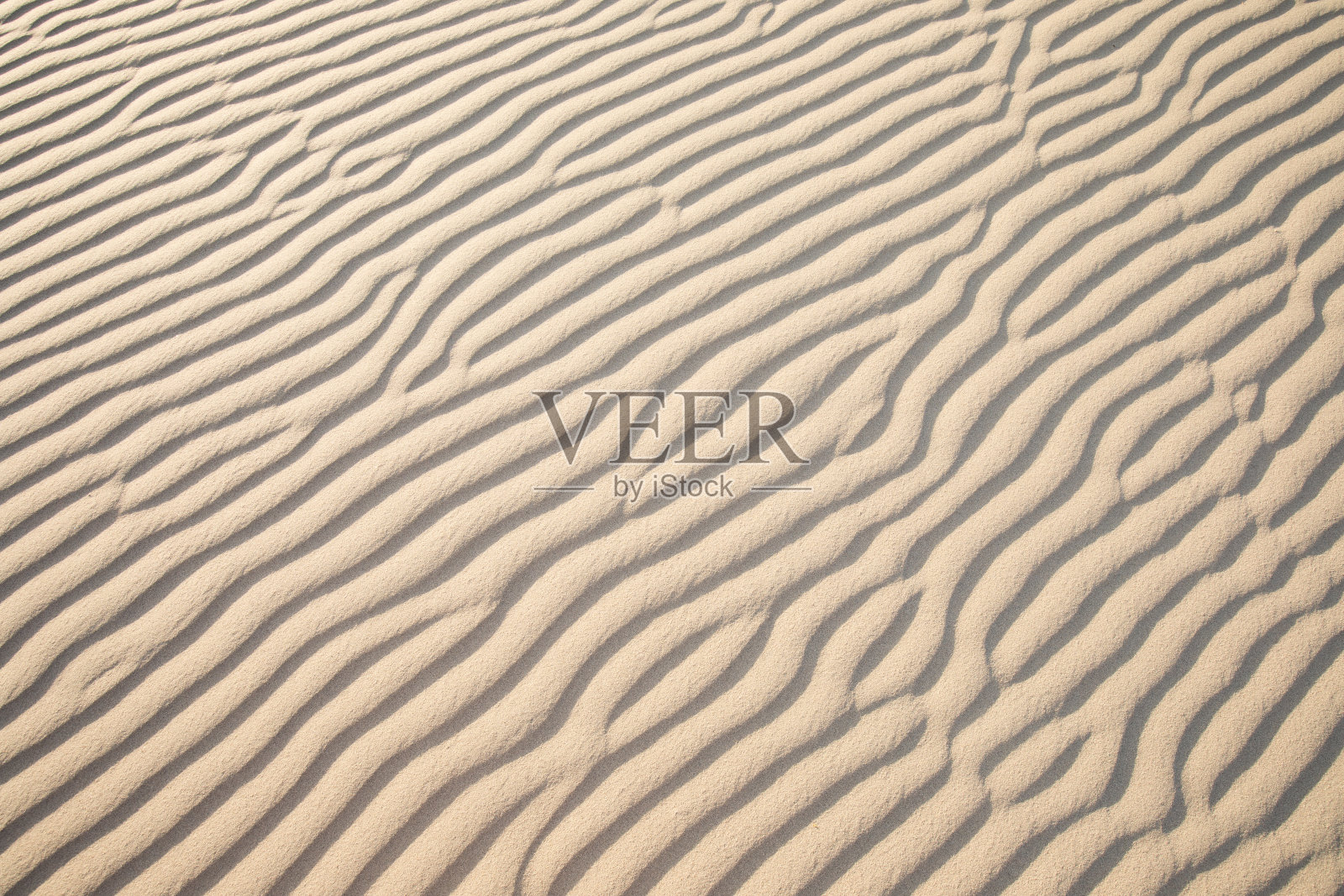 美国加利福尼亚州死亡谷国家公园，日出时Mesquite Flat沙丘上的自然波纹沙图案。清晨漫步在莫哈韦沙漠，背后是阿玛戈萨山脉照片摄影图片