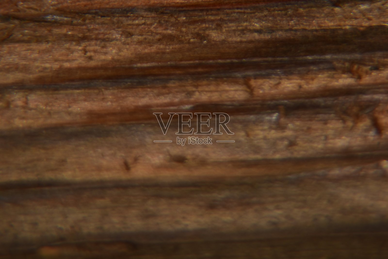 暗棕色木材纹理背景的特写照片摄影图片