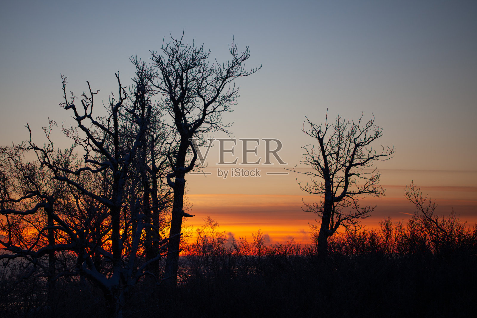 阿拉斯加的日落照片摄影图片