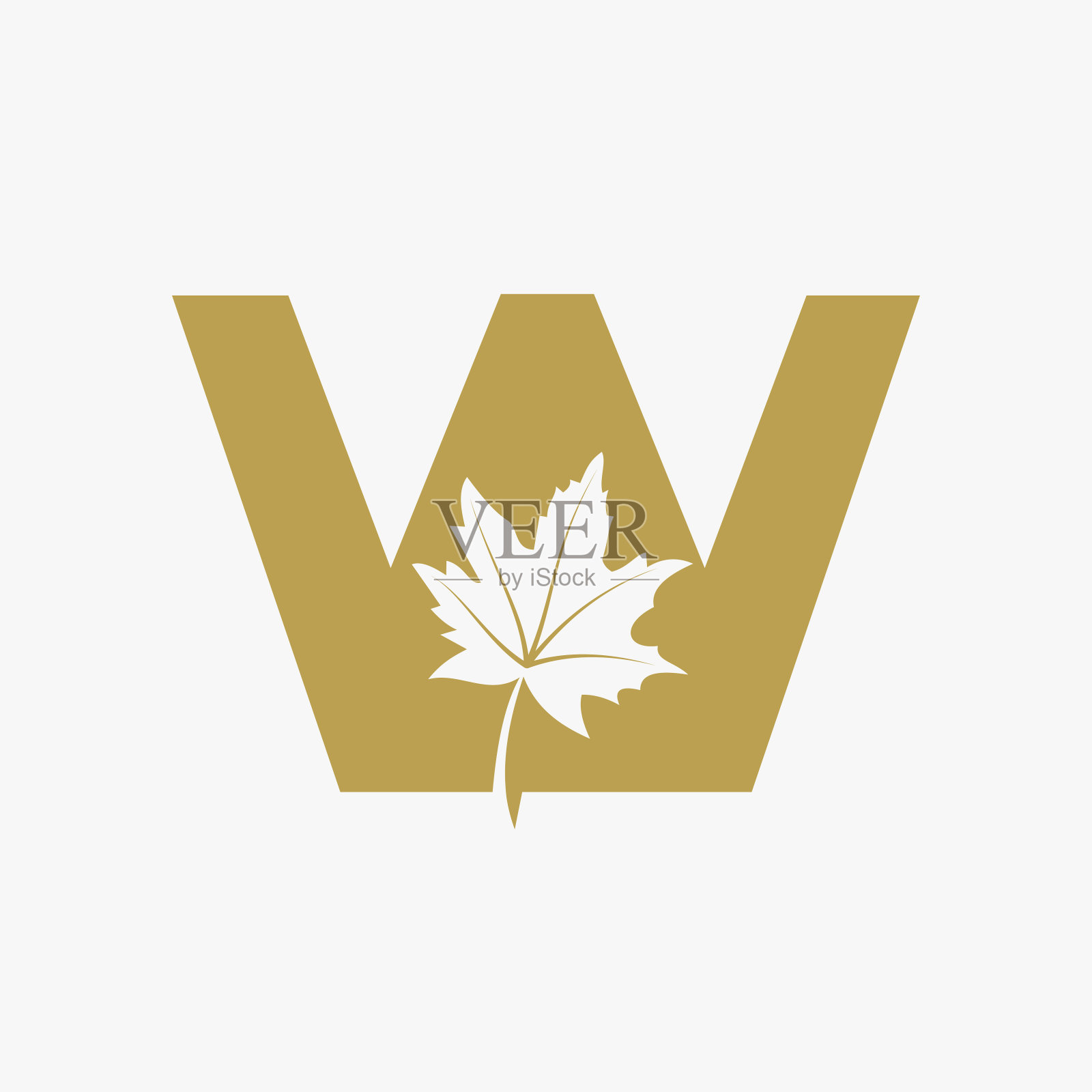 字母W枫叶优雅的标志。枫叶标识向量模板插画图片素材