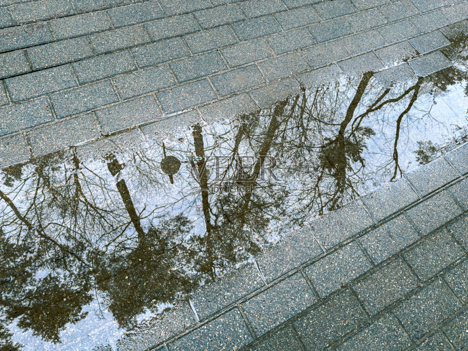 大雨后被淹没的路面，天空和树木在水坑表面的反射照片摄影图片