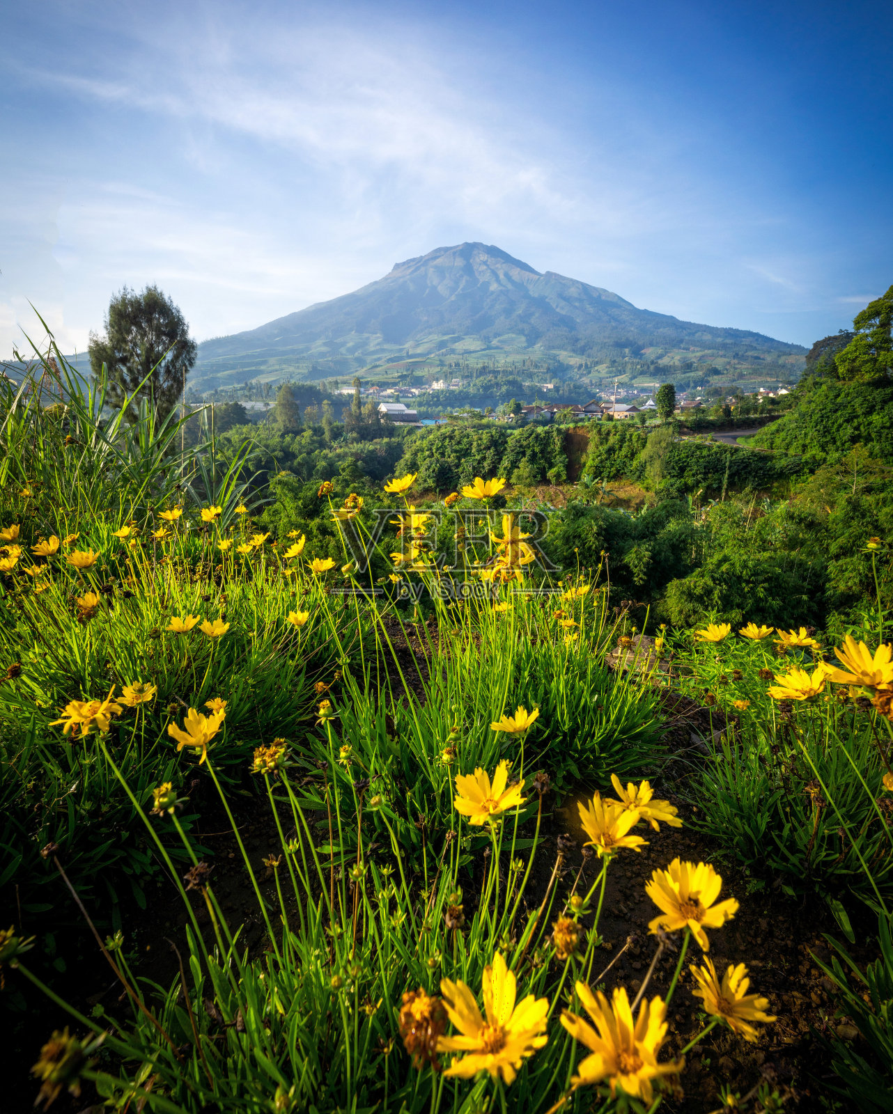 印度尼西亚中爪哇的美丽风景照片摄影图片