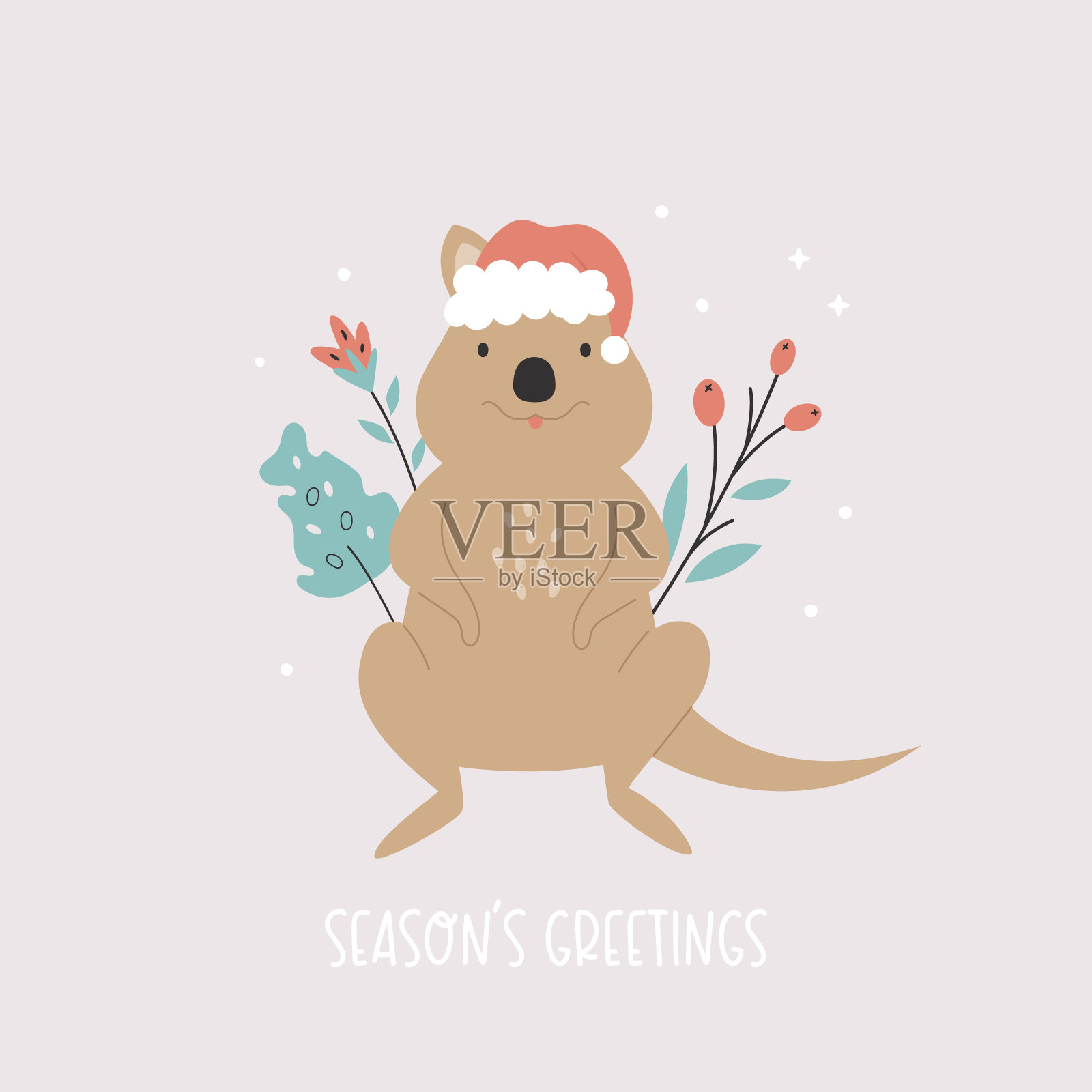 圣诞贺卡上，滑稽的短尾矮袋鼠戴着圣诞老人的帽子插画图片素材