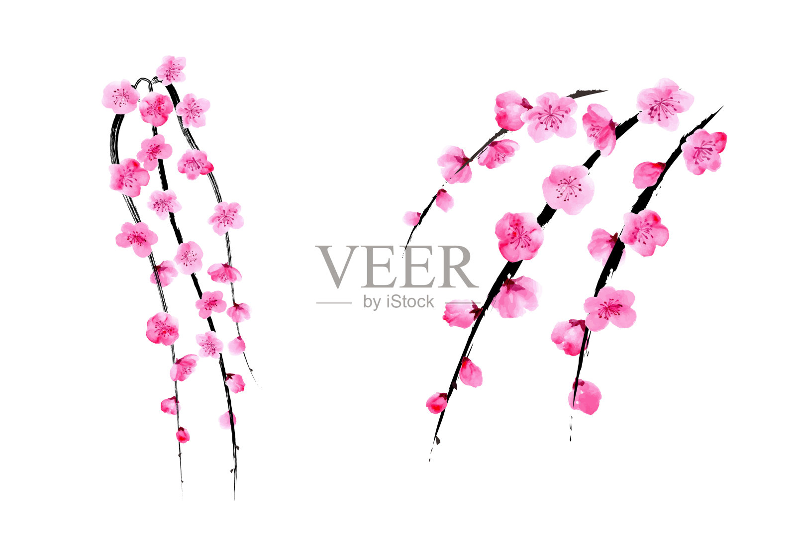 垂泪梅sumi-e风格矢量插图插画图片素材