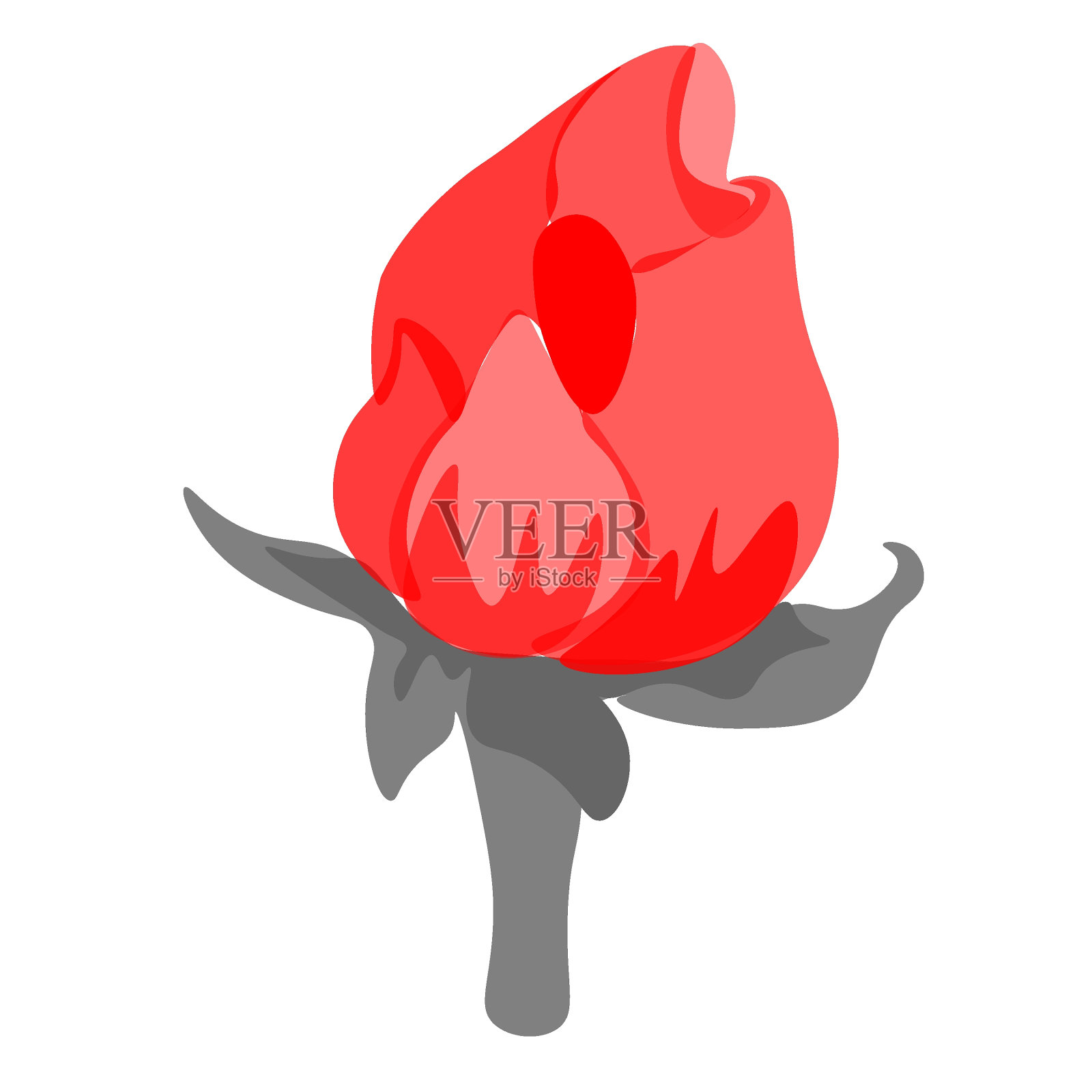 Japanfish333插画图片素材