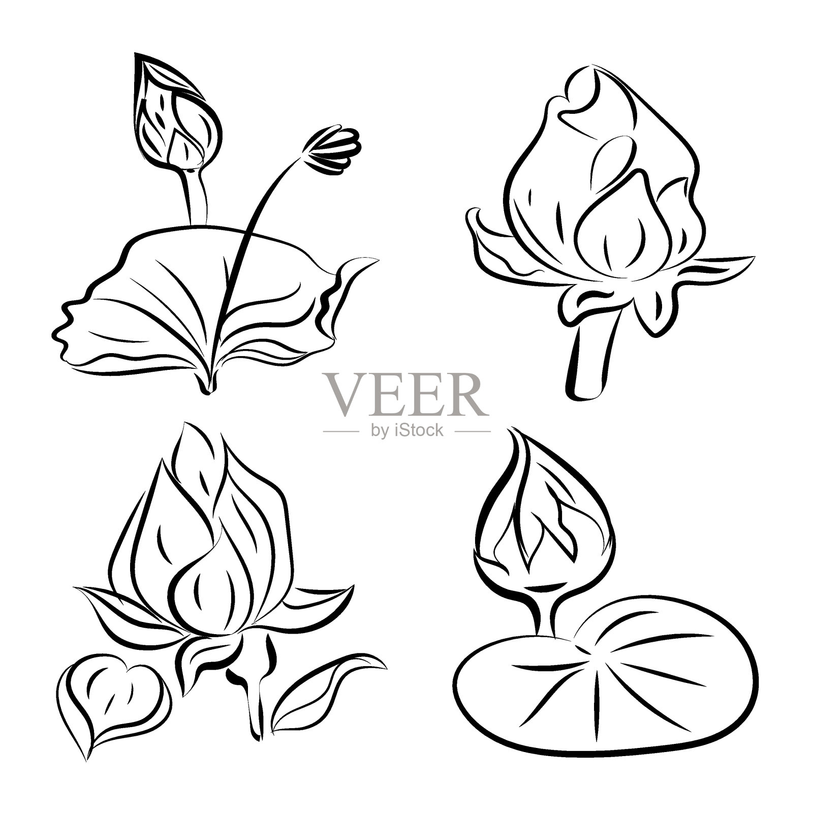 日本512插画图片素材