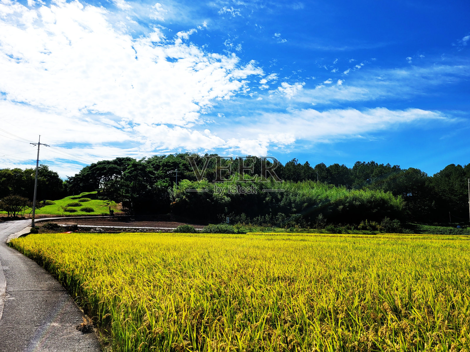 2022年景观照片摄影图片