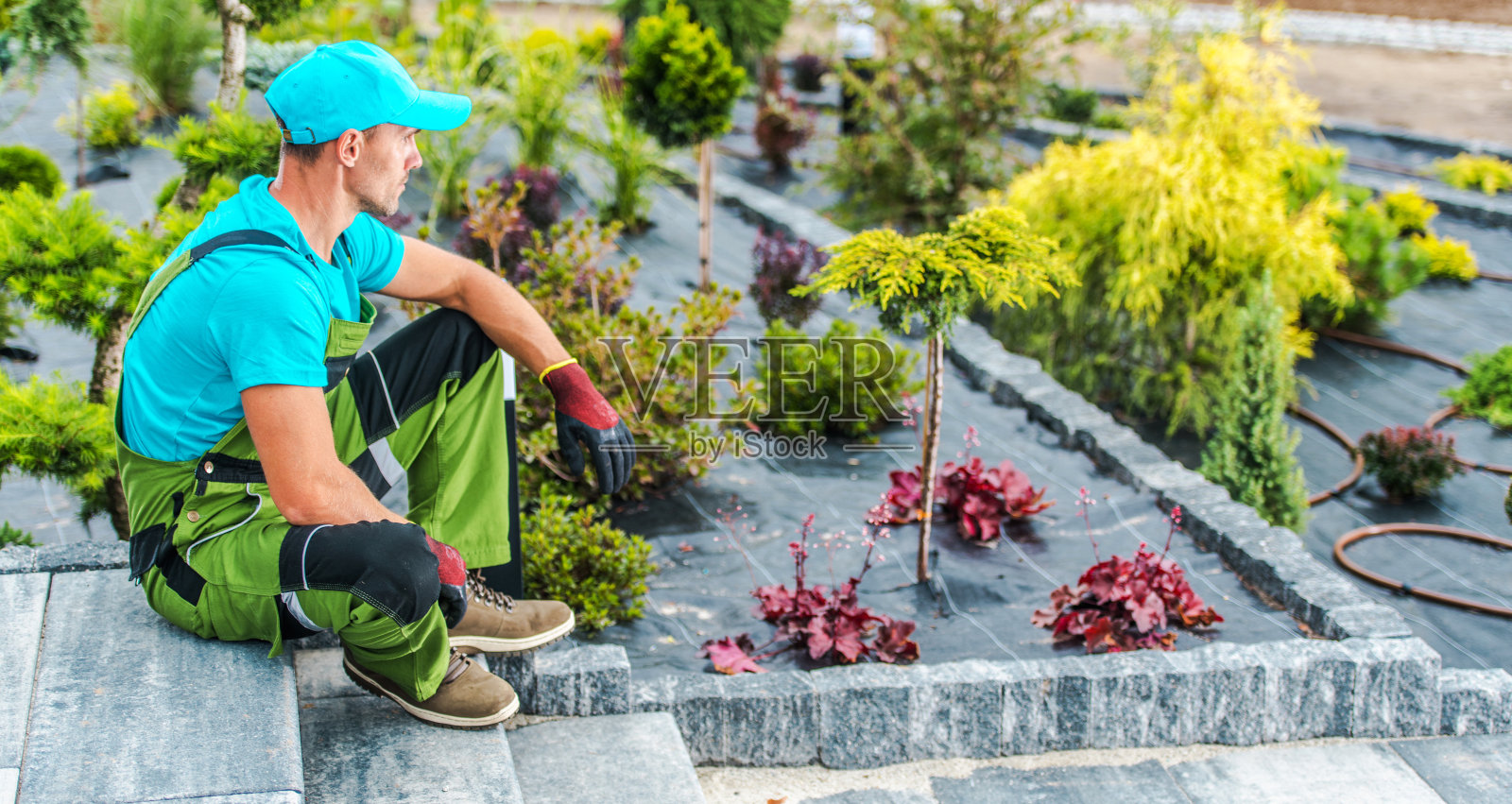 新设计的后花园内的专业景观美化人员照片摄影图片