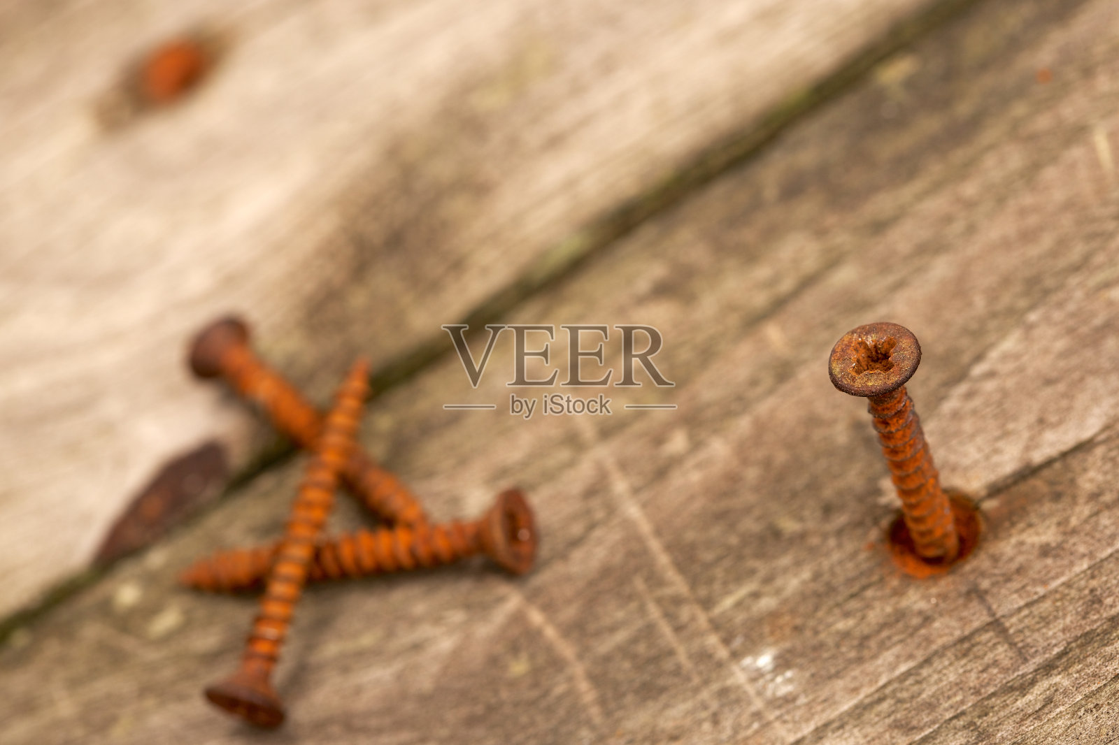 锈迹斑斑的螺丝在风化的松木甲板上的俯视图照片摄影图片