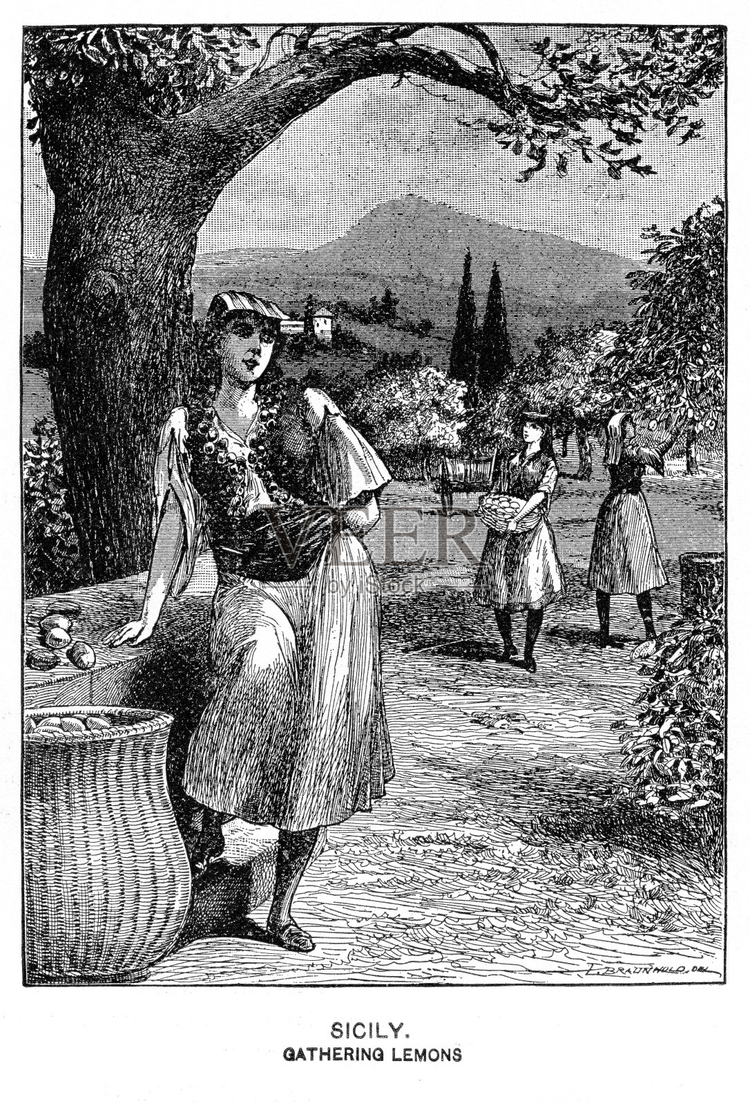 西西里岛-收集柠檬插画图片素材