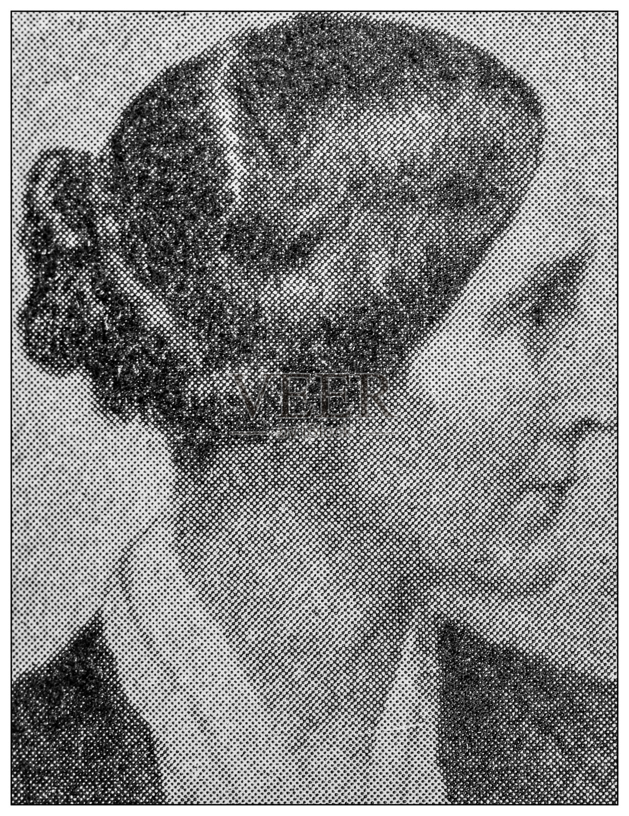 名人的古董肖像:爱丽丝·凯里设计元素图片