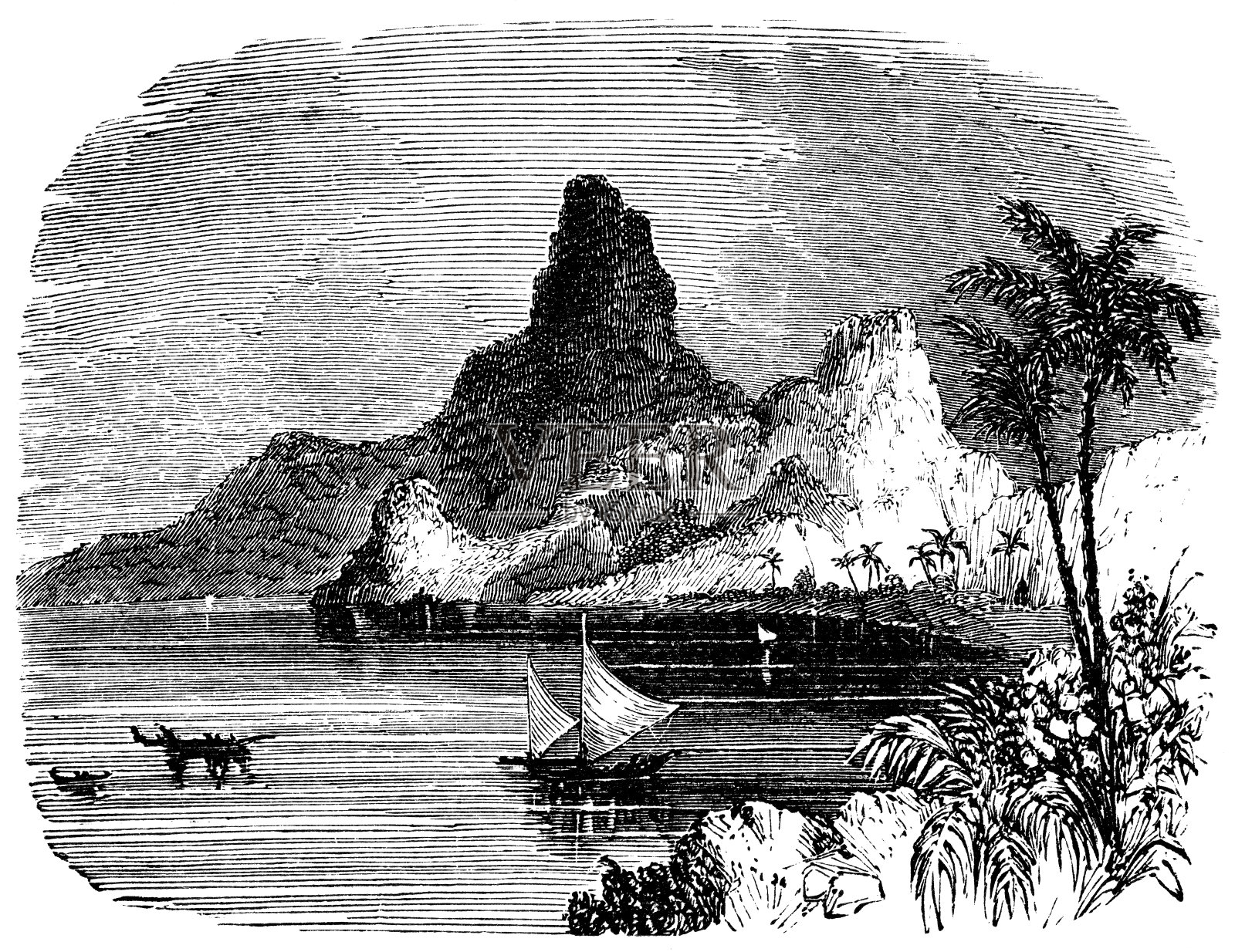 西班牙加那利群岛特内里费岛海岸——19世纪插画图片素材