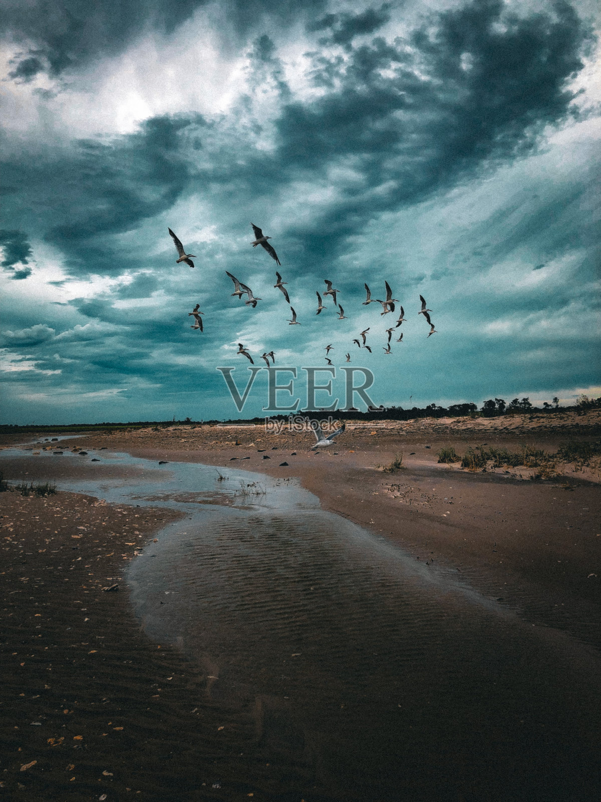 在飞行中照片摄影图片