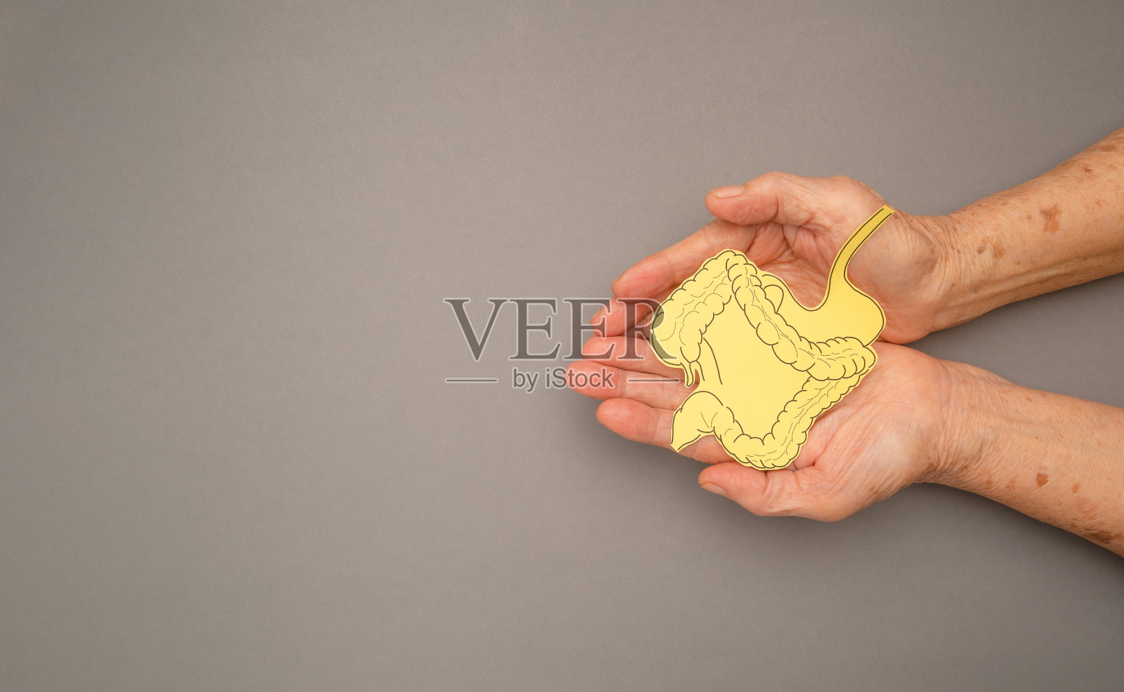 用纸在手掌上做的大肠形状，灰色背景上的老年妇女照片摄影图片