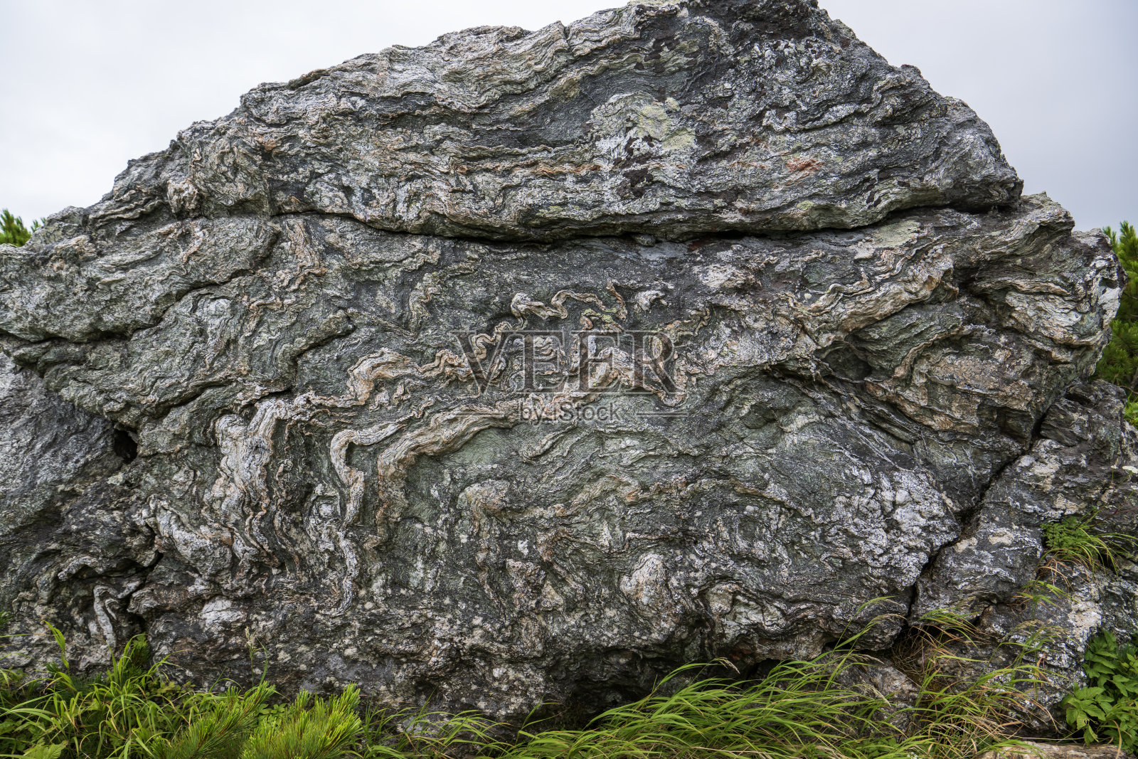 带条纹的大绿松石照片摄影图片
