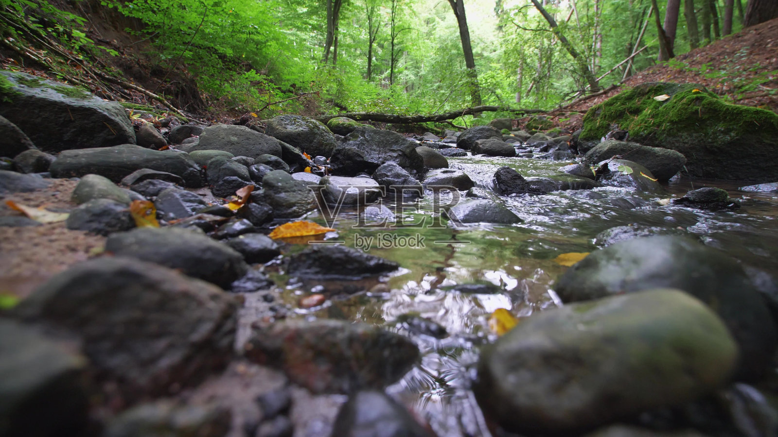 溪谷中森林小溪中的水流慢动作照片摄影图片